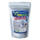 奇亞籽(鼠尾草籽)
